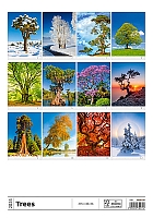 Kalendár Stromy 14