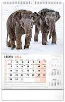 Nástenný kalendár Za zvieratami do zoo 2024, 33 × 46 cm 1