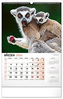 Nástenný kalendár Za zvieratami do zoo 2024, 33 × 46 cm 3