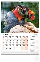 Nástenný kalendár Za zvieratami do zoo 2024, 33 × 46 cm 4