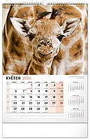 Nástenný kalendár Za zvieratami do zoo 2024, 33 × 46 cm 5
