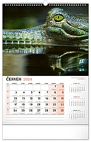 Nástenný kalendár Za zvieratami do zoo 2024, 33 × 46 cm 6