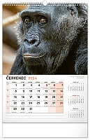 Nástenný kalendár Za zvieratami do zoo 2024, 33 × 46 cm 7