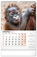 Nástenný kalendár Za zvieratami do zoo 2024, 33 × 46 cm 11