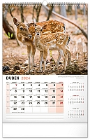 Nástenný kalendár Poľovnícky 2024, 33 × 46 cm 4