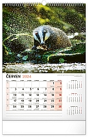 Nástenný kalendár Poľovnícky 2024, 33 × 46 cm 6