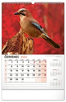 Nástenný kalendár Poľovnícky 2024, 33 × 46 cm 7