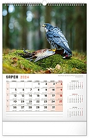 Nástenný kalendár Poľovnícky 2024, 33 × 46 cm 8