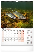 Nástenný kalendár Rybársky 2024, 33 × 46 cm 2