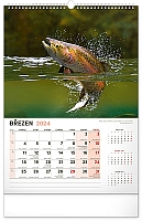 Nástenný kalendár Rybársky 2024, 33 × 46 cm 3