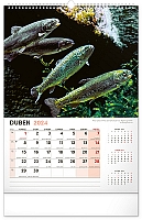 Nástenný kalendár Rybársky 2024, 33 × 46 cm 4