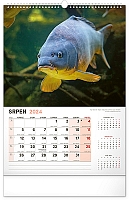 Nástenný kalendár Rybársky 2024, 33 × 46 cm 8