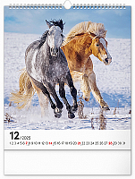 Nástenný kalendár Kone 2025, 30 × 34 cm 12