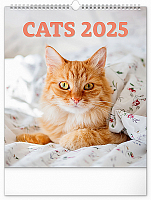 Nástenný kalendár Mačky 2025, 30 × 34 cm