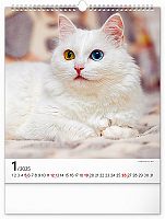 Nástenný kalendár Mačky 2025, 30 × 34 cm 1