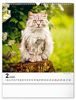 Nástenný kalendár Mačky 2025, 30 × 34 cm 2