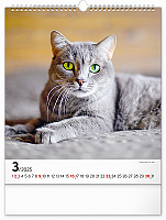 Nástenný kalendár Mačky 2025, 30 × 34 cm 3
