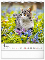 Nástenný kalendár Mačky 2025, 30 × 34 cm 4