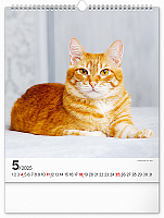 Nástenný kalendár Mačky 2025, 30 × 34 cm 5