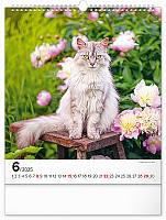 Nástenný kalendár Mačky 2025, 30 × 34 cm 6