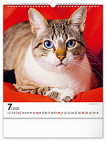 Nástenný kalendár Mačky 2025, 30 × 34 cm 7
