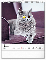 Nástenný kalendár Mačky 2025, 30 × 34 cm 8