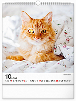 Nástenný kalendár Mačky 2025, 30 × 34 cm 10
