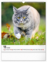 Nástenný kalendár Mačky 2025, 30 × 34 cm 11