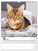 Nástenný kalendár Mačky 2025, 30 × 34 cm 12