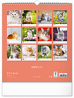 Nástenný kalendár Mačky 2025, 30 × 34 cm 14