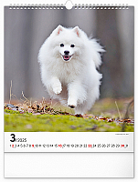 Nástenný kalendár Psy 2025, 30 × 34 cm 3