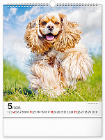 Nástenný kalendár Psy 2025, 30 × 34 cm 5