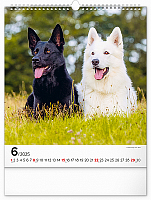 Nástenný kalendár Psy 2025, 30 × 34 cm 6