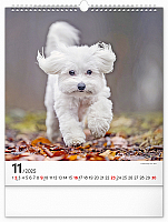 Nástenný kalendár Psy 2025, 30 × 34 cm 11