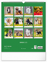 Nástenný kalendár Psy 2025, 30 × 34 cm 14