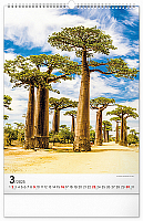 NOTIQUE Nástenný kalendár Stromy 2025, 33 x 46 cm 3