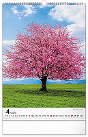 NOTIQUE Nástenný kalendár Stromy 2025, 33 x 46 cm 4