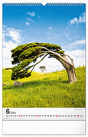 NOTIQUE Nástenný kalendár Stromy 2025, 33 x 46 cm 6