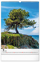 NOTIQUE Nástenný kalendár Stromy 2025, 33 x 46 cm 7