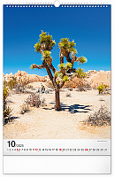 NOTIQUE Nástenný kalendár Stromy 2025, 33 x 46 cm 10