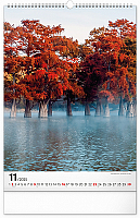NOTIQUE Nástenný kalendár Stromy 2025, 33 x 46 cm 11