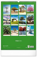 NOTIQUE Nástenný kalendár Stromy 2025, 33 x 46 cm 14