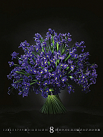 Nástenný kalendár Flower Art 2025 9