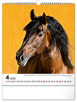 NOTIQUE Nástenný kalendár Kone 2026, 30 x 34 cm 4