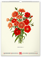 NOTIQUE Nástenný kalendár Vintage plagáty – herbár 2025, 33 x 46 cm 6