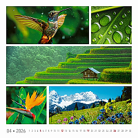 Nástenný kalendár Colours of nature 2026 2