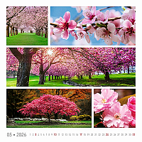 Nástenný kalendár Colours of nature 2026 3
