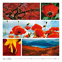 Nástenný kalendár Colours of nature 2026 4