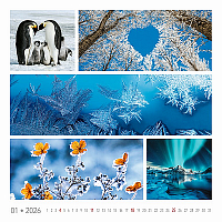 Nástenný kalendár Colours of nature 2026 11