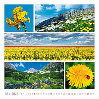Nástenný kalendár Colours of nature 2026 13